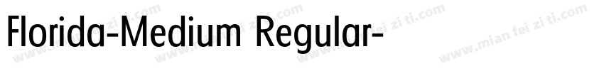 Florida-Medium Regular字体转换